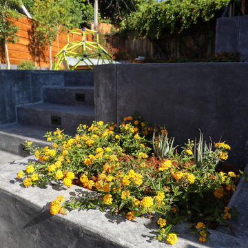 Outdoor Ambience