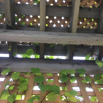 Shade lattice and privacy panels