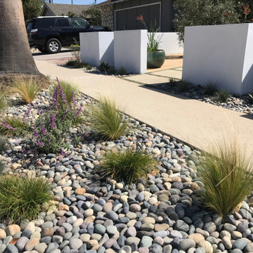 Modern Front Yard with Drought Tolerant Plants