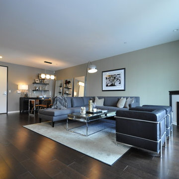 Contemporary Living Room