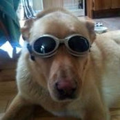 Michael Benner's photo