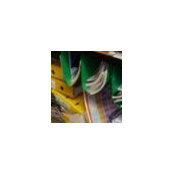 Damien VITSKI's photo