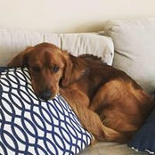 Stephanie Wenzel's photo