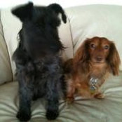Lynda Long's photo