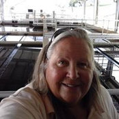 Barbara Hamman's photo