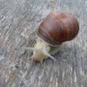 Bridget Wynn's photo