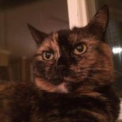 Amy Kamedulski's photo