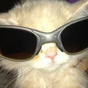 Foto von Boy Oakley