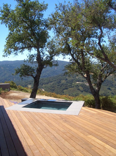 Modern Pool by Zeterre Landscape Architecture