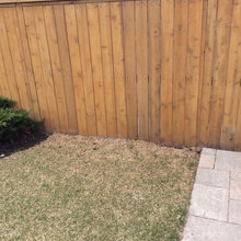 Small backyard-Urban oasis