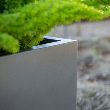 Metallic Series - Span