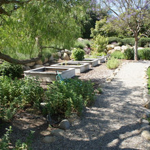 Landscape Ideas