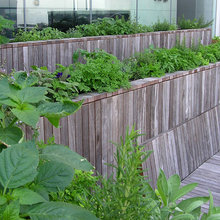 Edible Garden