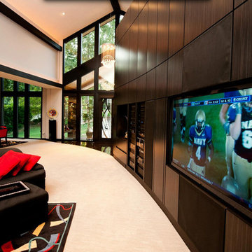 Home Stereo, Theatre and Automation