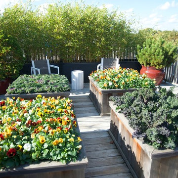 Cambridge, MA Rooftop Garden