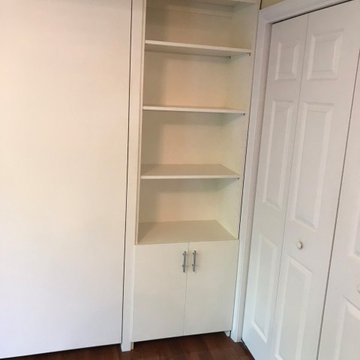 Contemporary Vertical Queen Size Murphy Bed Cabinet with Side Storage and Shelvi