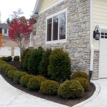 Landscape Ideas