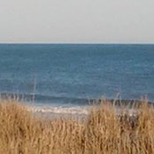 Betsy Alverson's photo