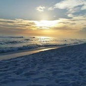 frank bernal's photo
