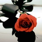 Mary Del Villar's photo