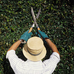 All Around Tree Care Inc