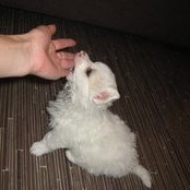 Willy Goodwill's photo