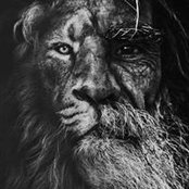 Audrey Frezier's photo