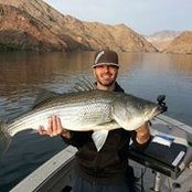 Jason Wheeler's photo