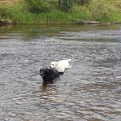 Maree McPherson's photo