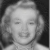 Mauro Costa's photo