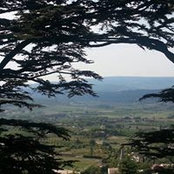 Denis Moussier's photo