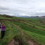 Toni Cork's photo