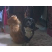 Chantal Bell's photo