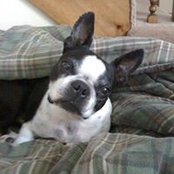 Lisa Hallow's photo