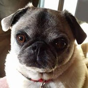 Lisa Kasper's photo