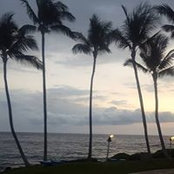 Dana Baldwin's photo