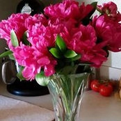Carnation Andary's photo