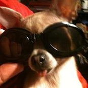 Terry Donさんの写真