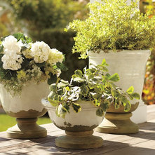 Mediterranean Outdoor Pots And Planters by Pottery Barn