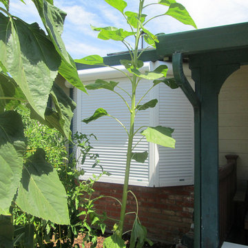 Exterior Rolling Shutters