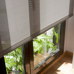 Roller Shades - Roller Shades