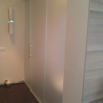Glass Screen and Door for Modern Bathroom