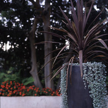 outdoor planters