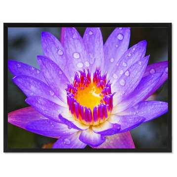Purple Lotus Flower Print on Canvas with Picture Frame, 28"x37"