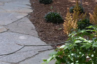 Photo of a traditional landscaping in Raleigh.