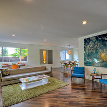 Living Room Ideas