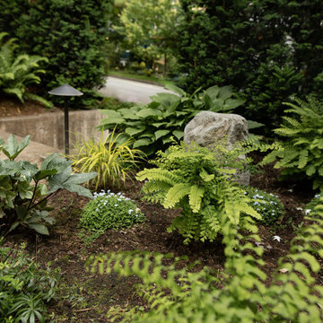 Shade Garden