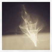 Sarah Sanford's photo