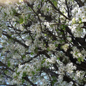 Teresa Suddreth's photo