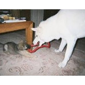 Sissy Chastain's photo